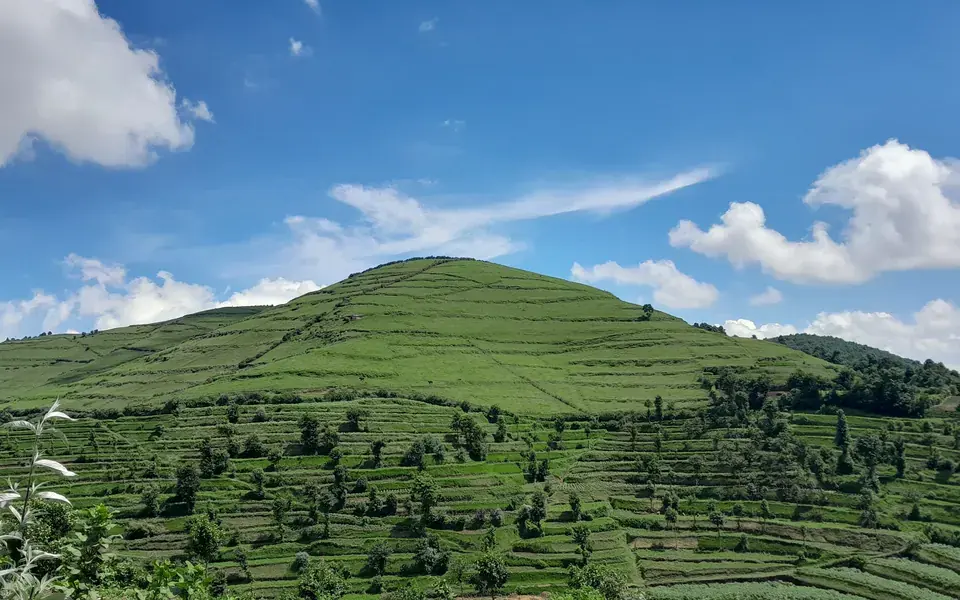 Terraced green farmland climbing a steep hillside under a bright sky in western Rwanda.
