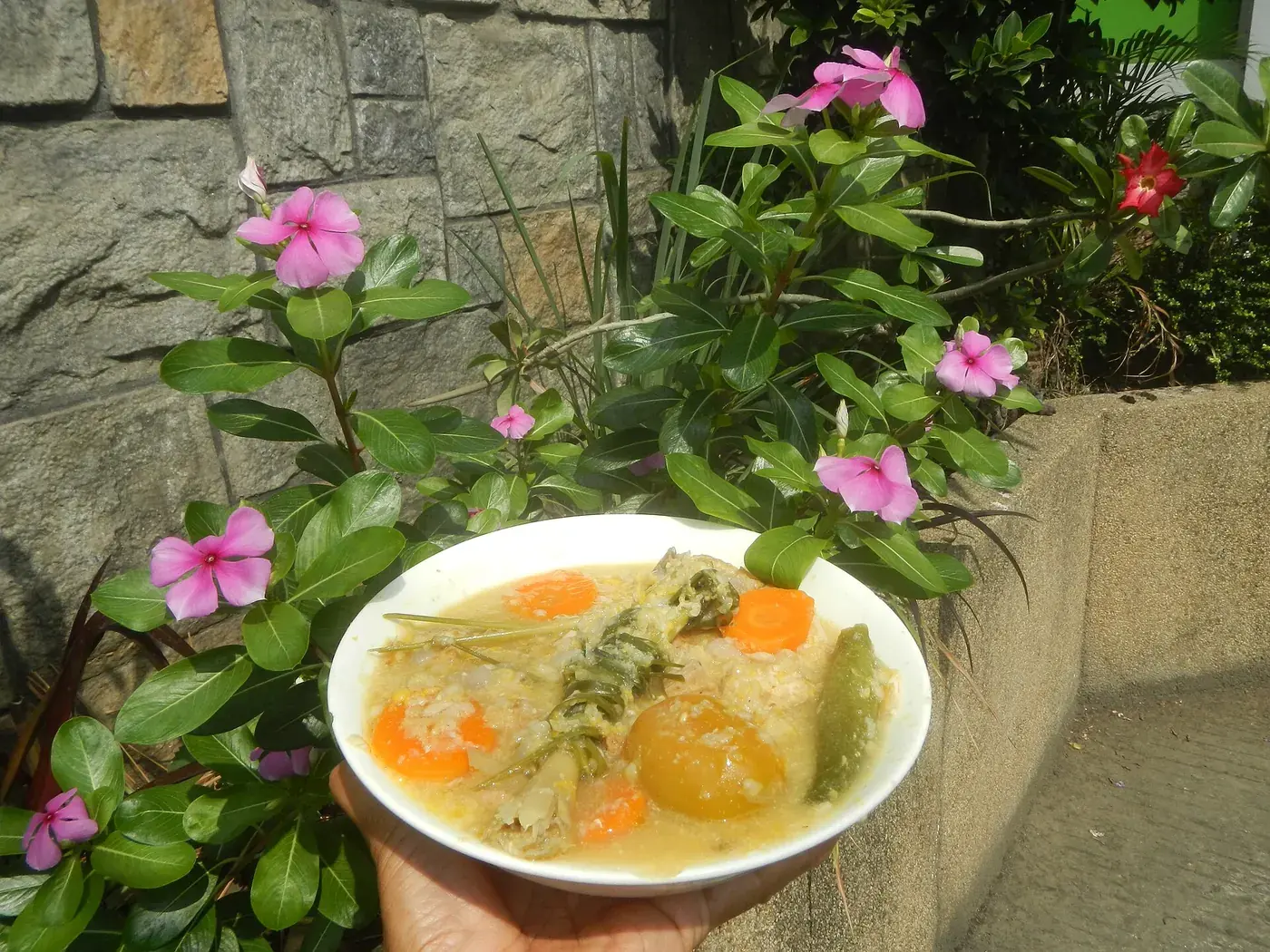 Tofu, sweetcorn, okra, tomato and carrot stewed together in a pale lemongrass broth.