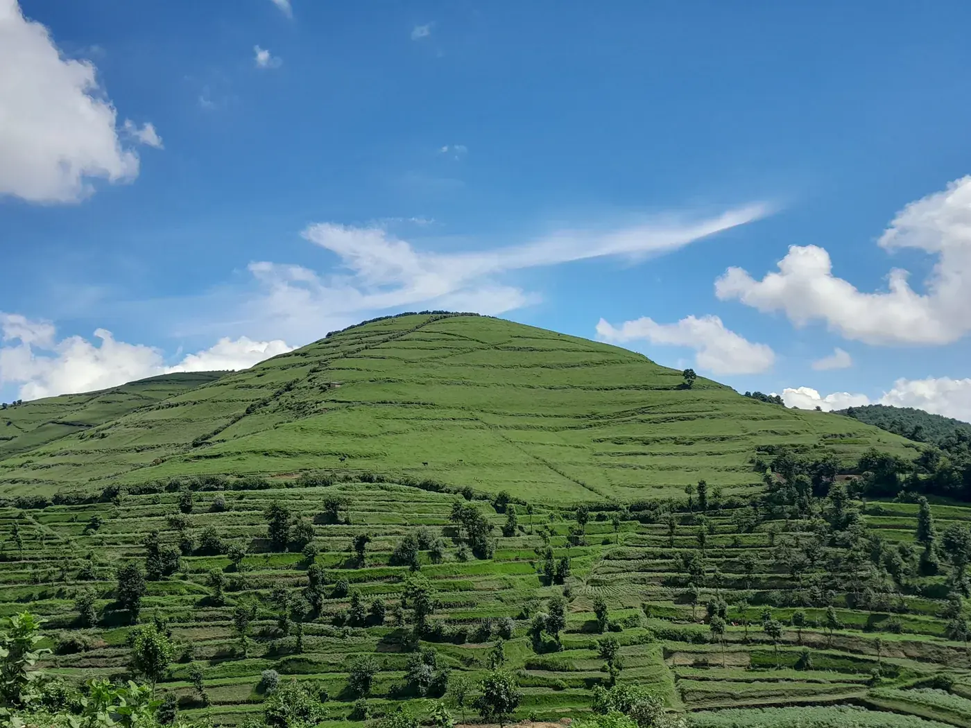 Terraced green farmland climbing a steep hillside under a bright sky in western Rwanda.